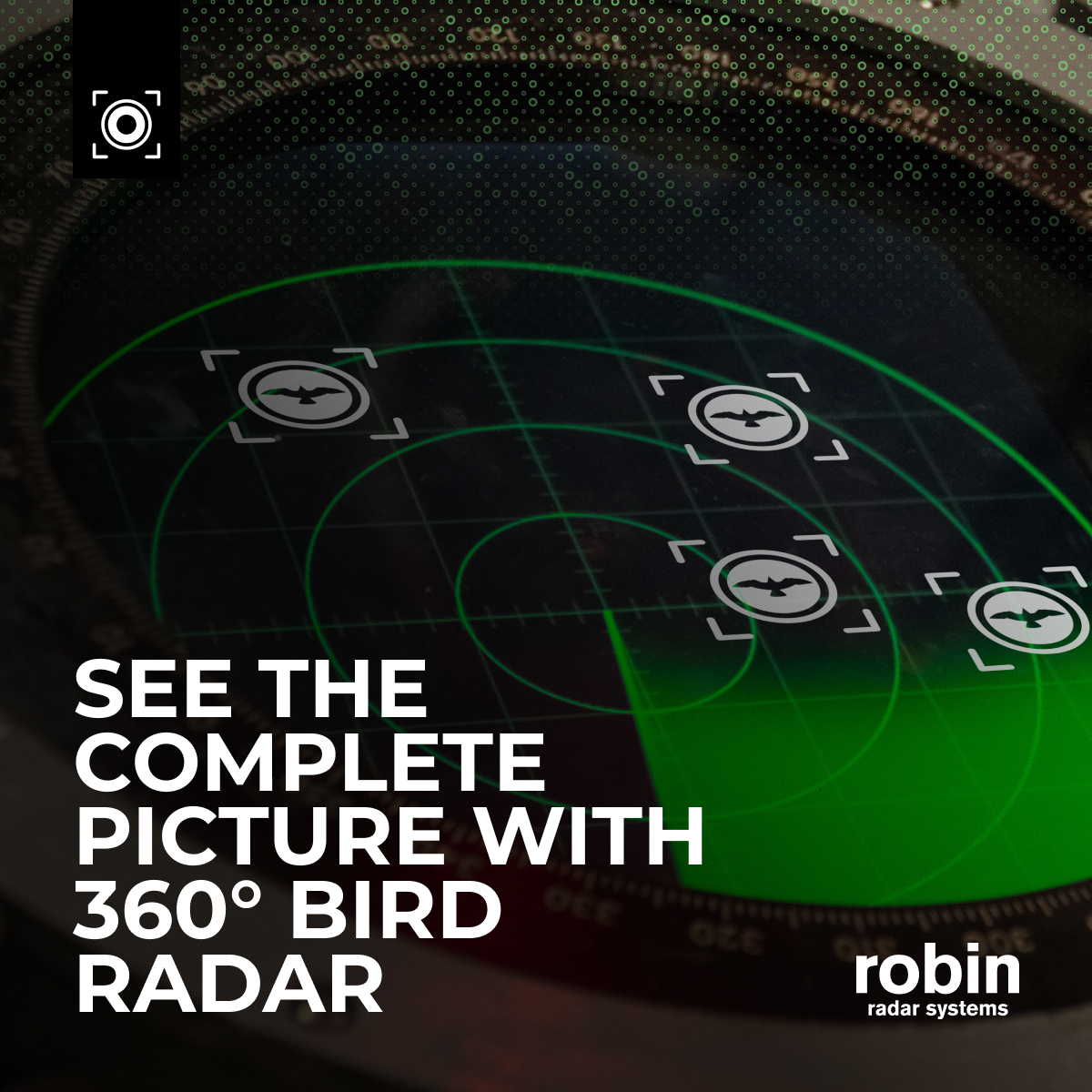 BlendB2B paid social — 360° bird radar campaign